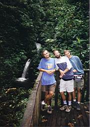 93 bosque Monteverde.jpg